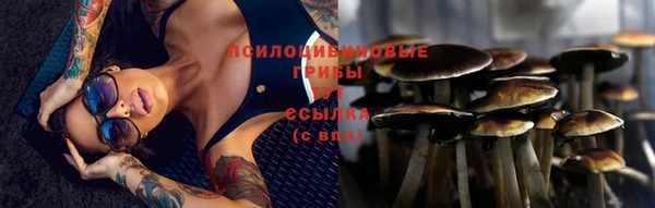 МДПВ Балабаново