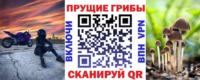 Псилоцибиновые грибы Cubensis Белинский